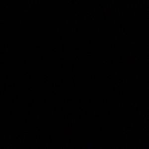 Meet your Posher, Inga